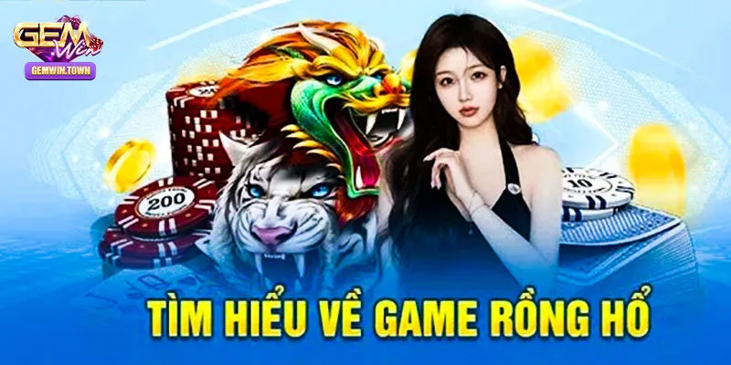 Tổng quan về rồng hổ