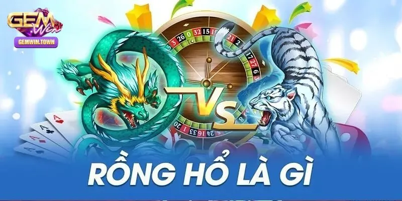 Rồng hổ là gì?